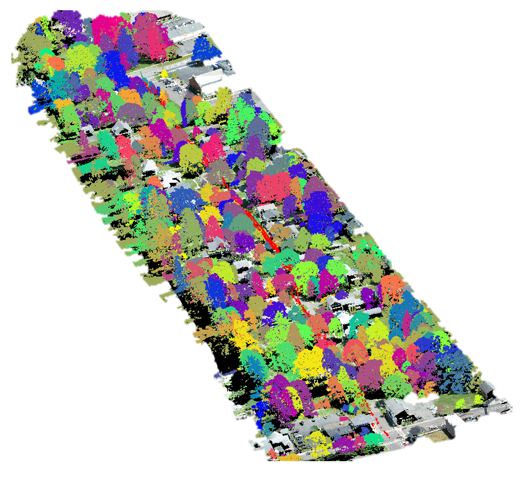 AiDroneTree Detection