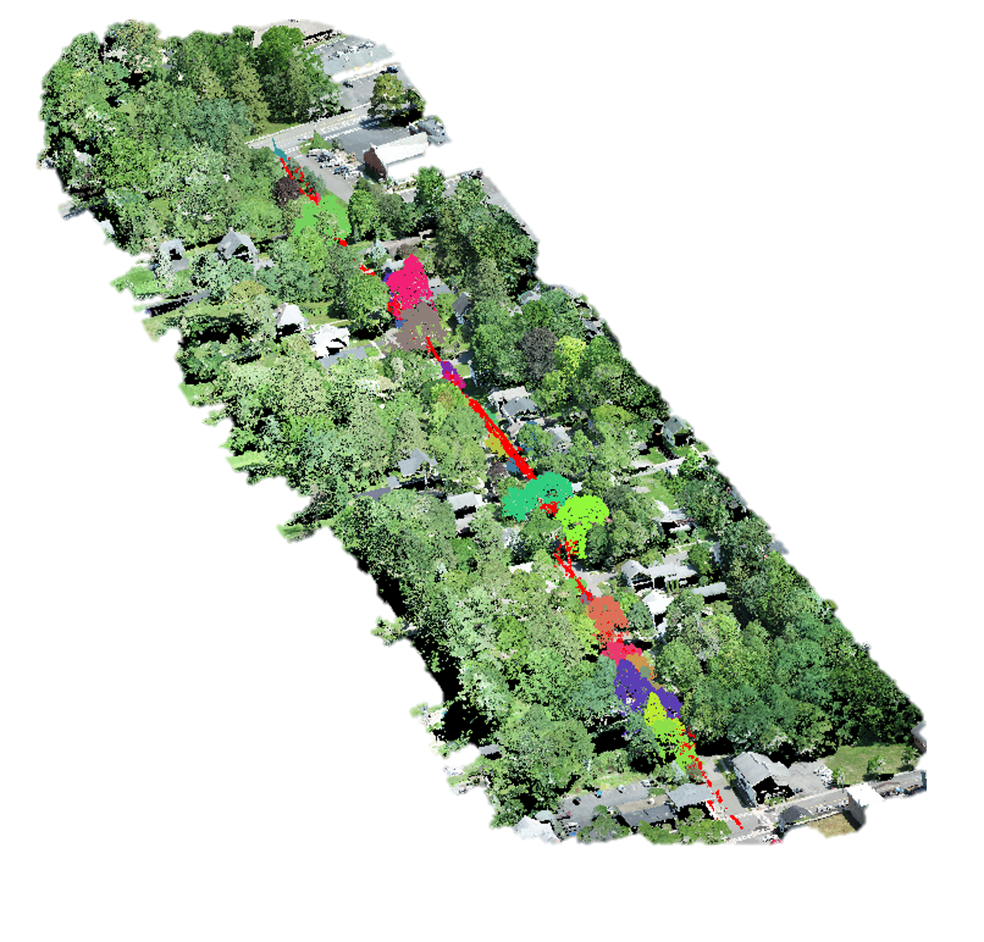 Encroachment Trees