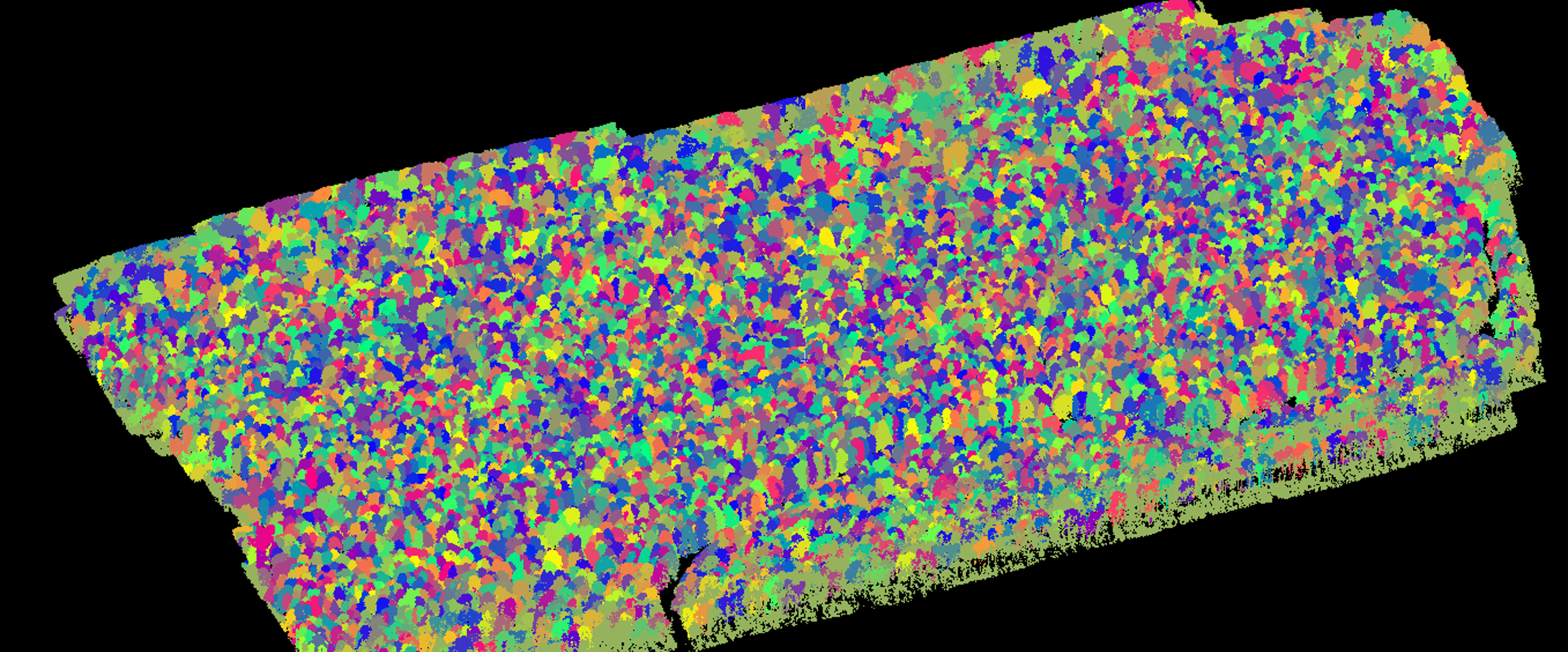 AiDroneTree Detection