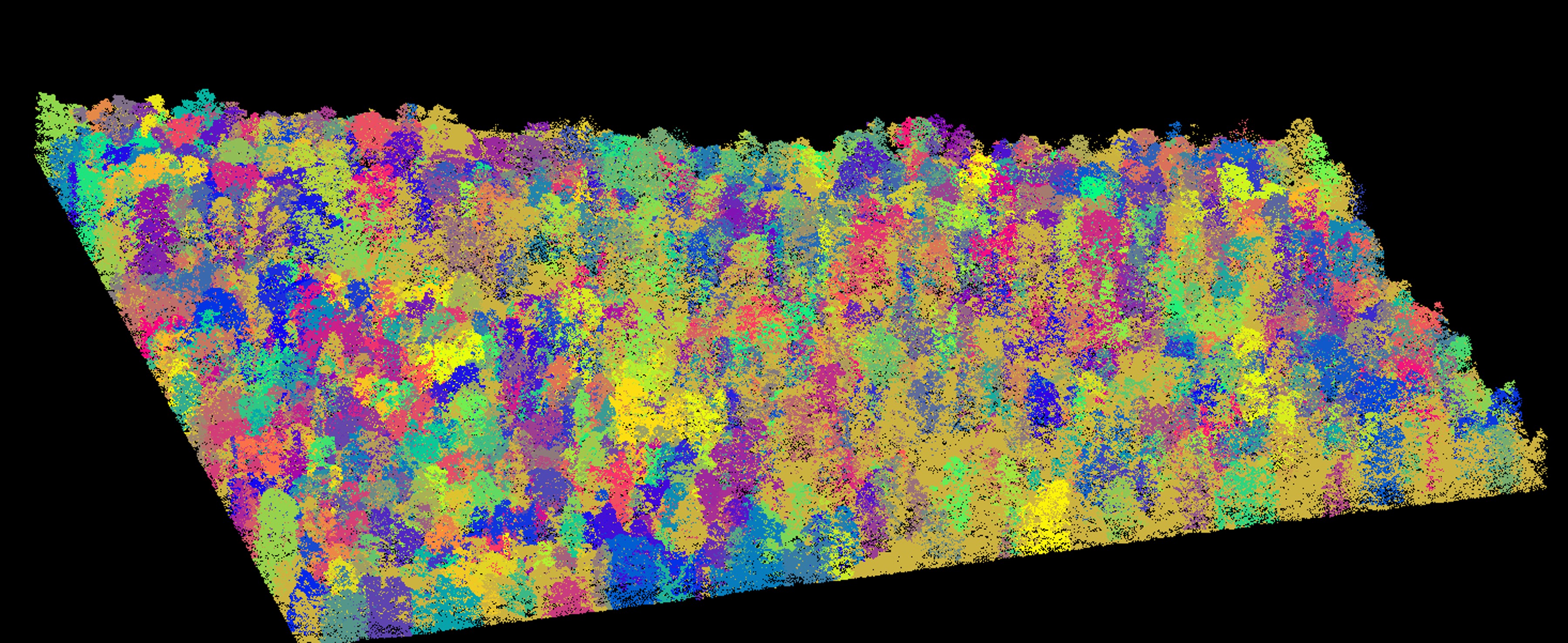 AiDroneTree Detection