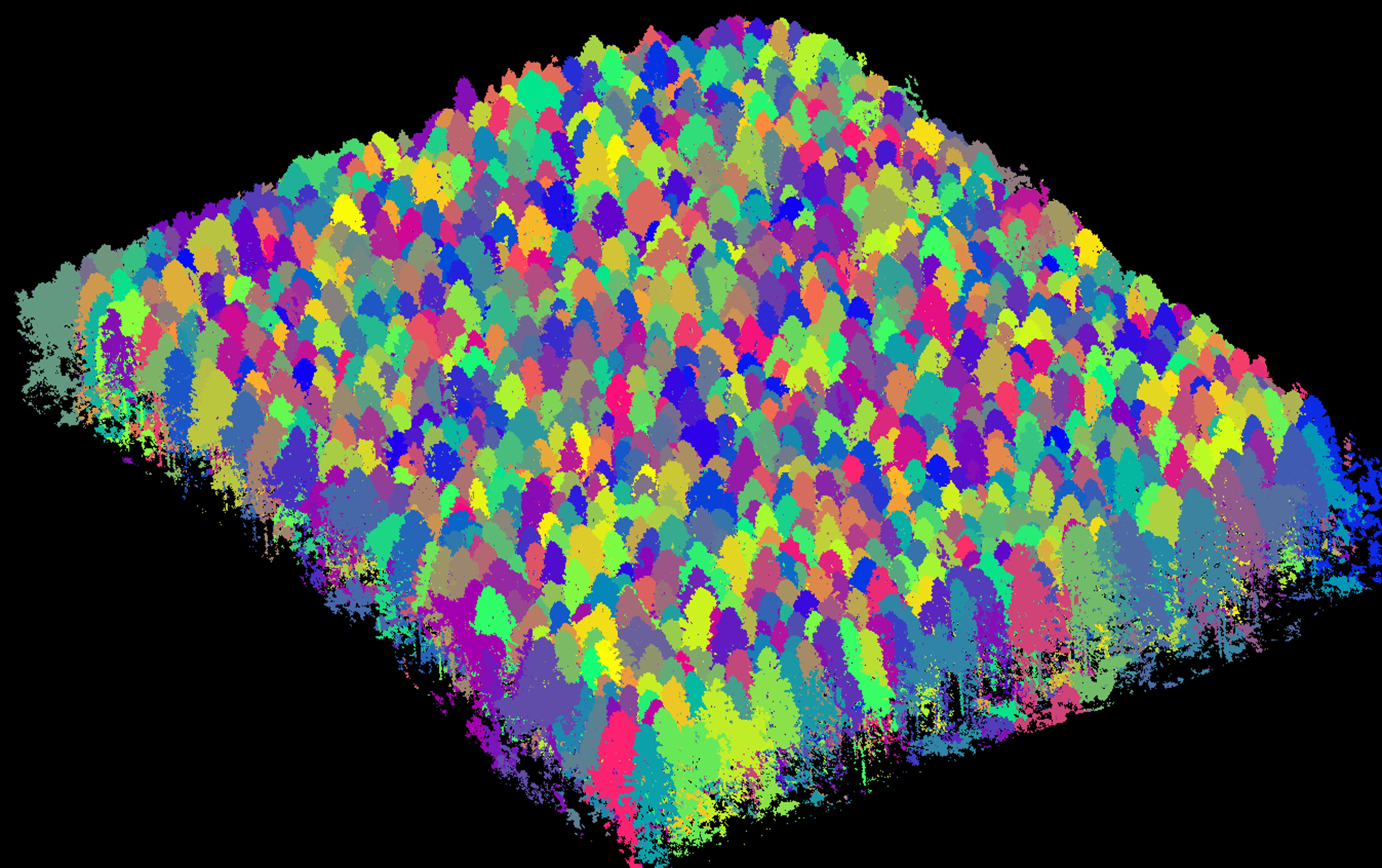 AiDroneTree Detection