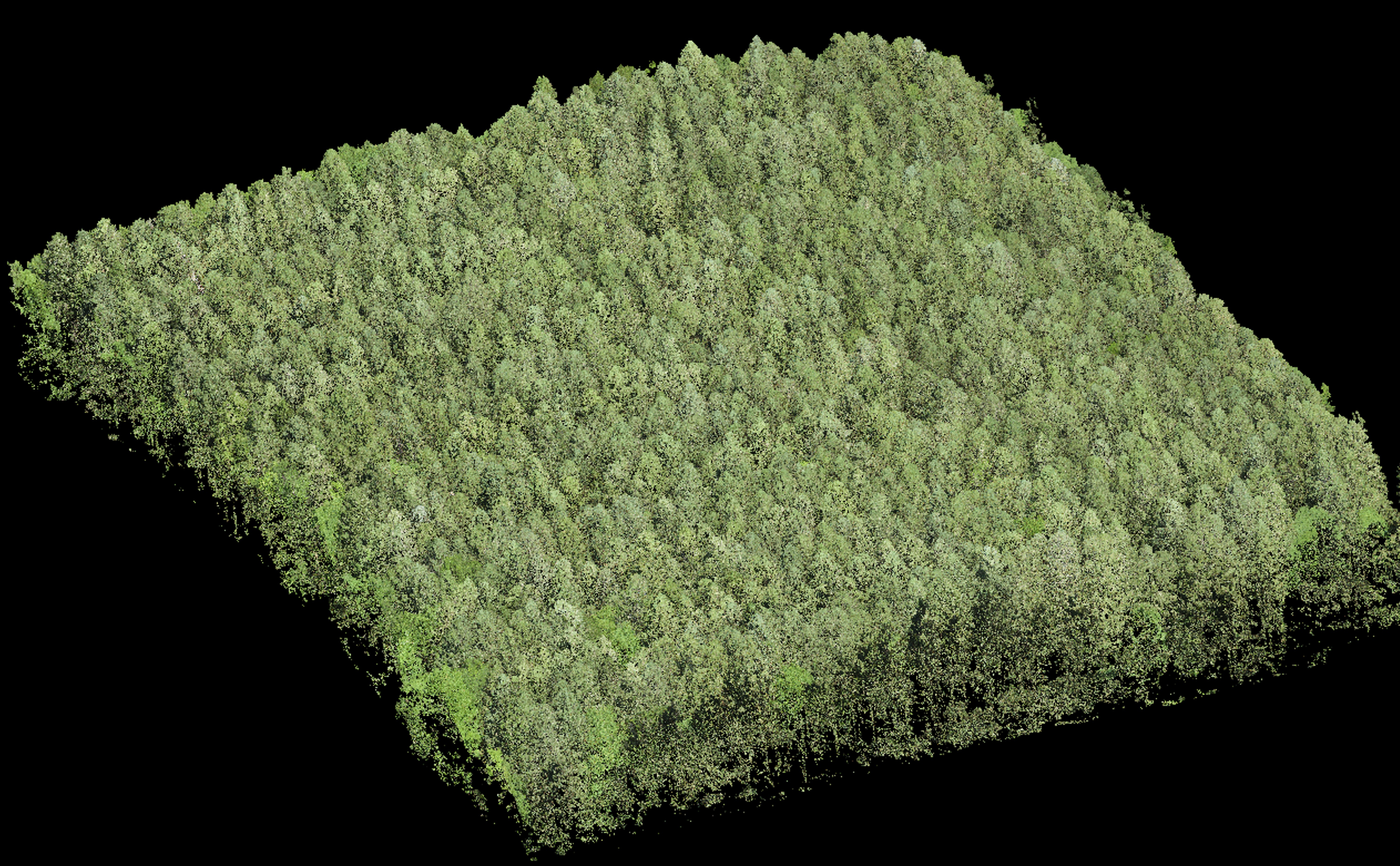 Point Cloud