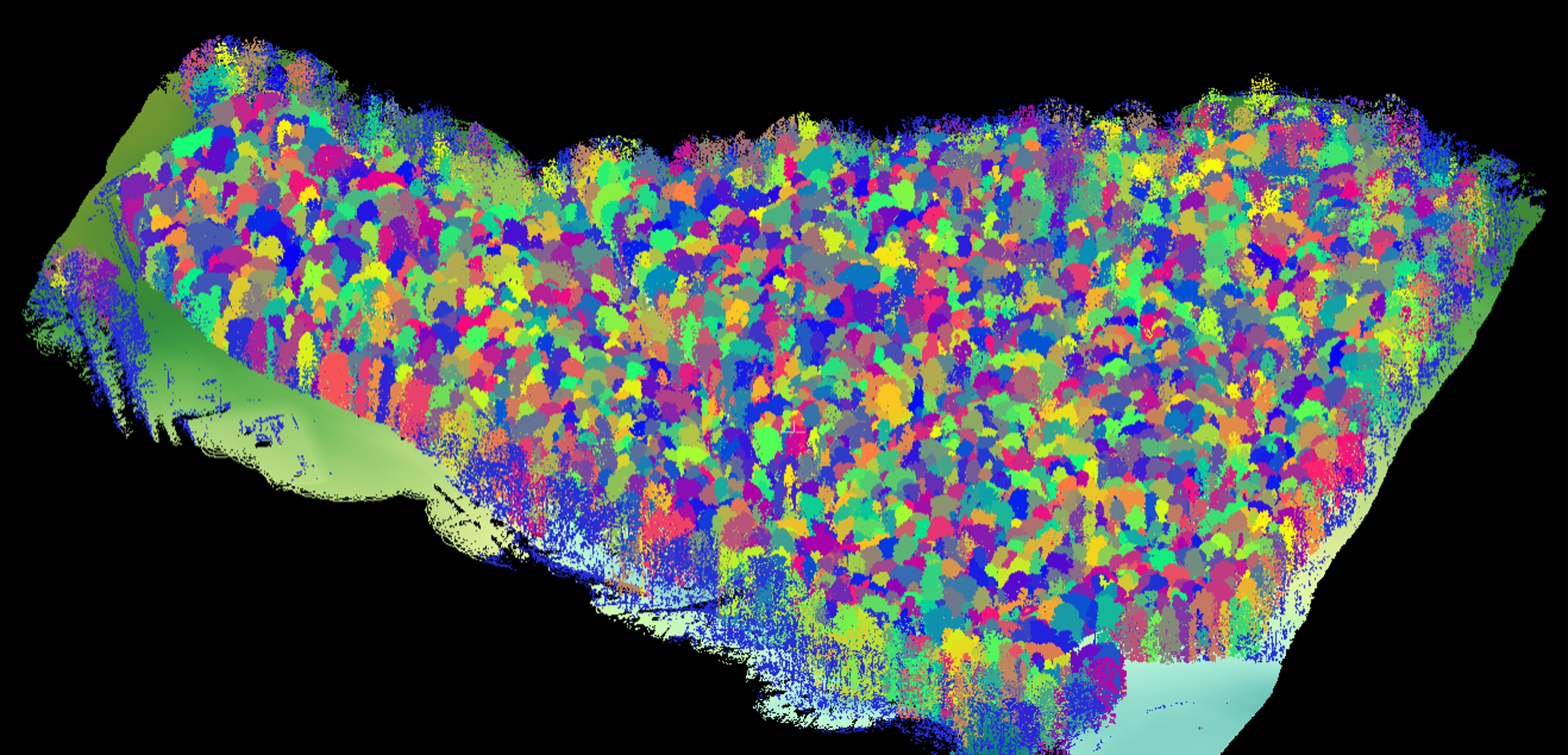 Site E — AiDroneTree