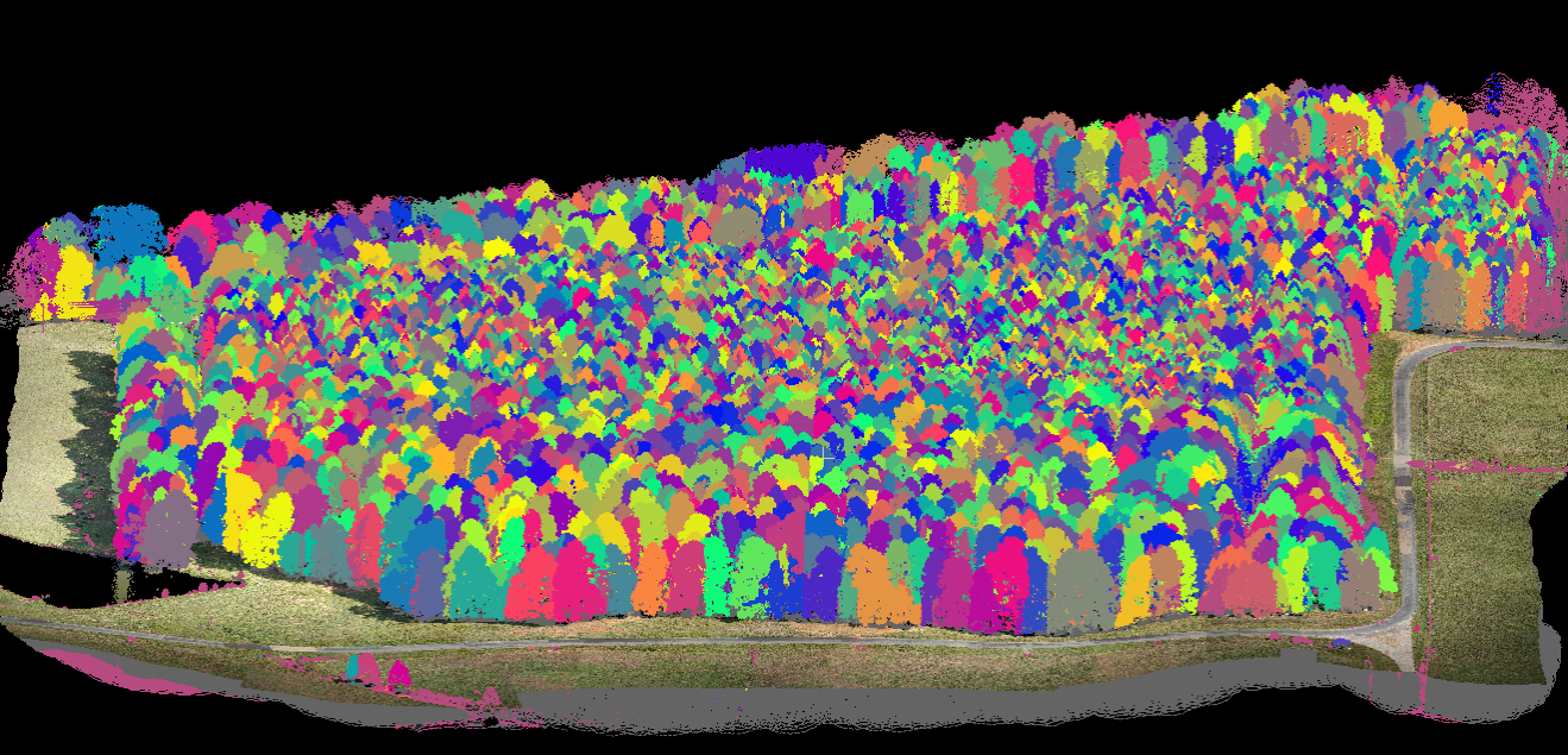 Site S — AiDroneTree